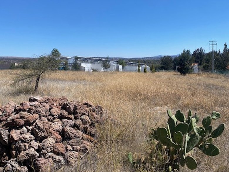 Beautiful cleared level 1/2 Hectare Lot (7 minutes from San Miguel) — 4 photos