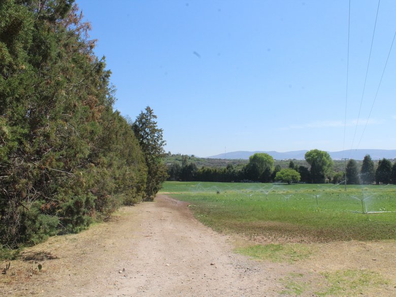 Country House in a Private Ranch for Horse lovers. — 26 fotos