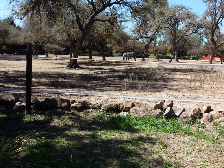 Country House in a Private Ranch for Horse lovers. — 31 fotos