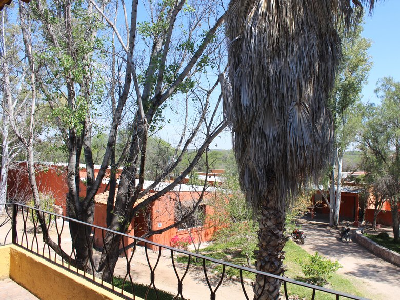 Country House in a Private Ranch for Horse lovers. — 17 fotos