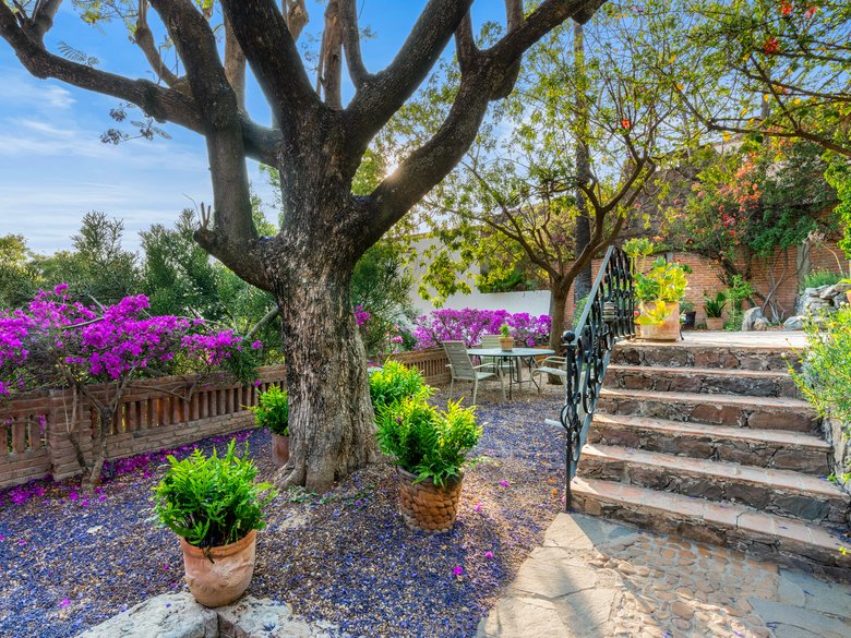 Casa Cañadita. Your Sanctuary in San Miguel de Allende — 2 photos