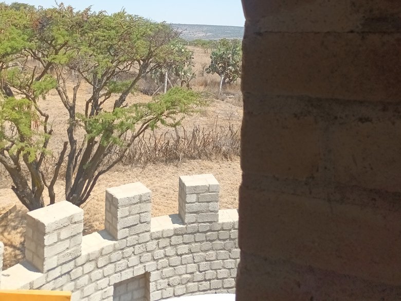 Casa Paloelú — 27 photos