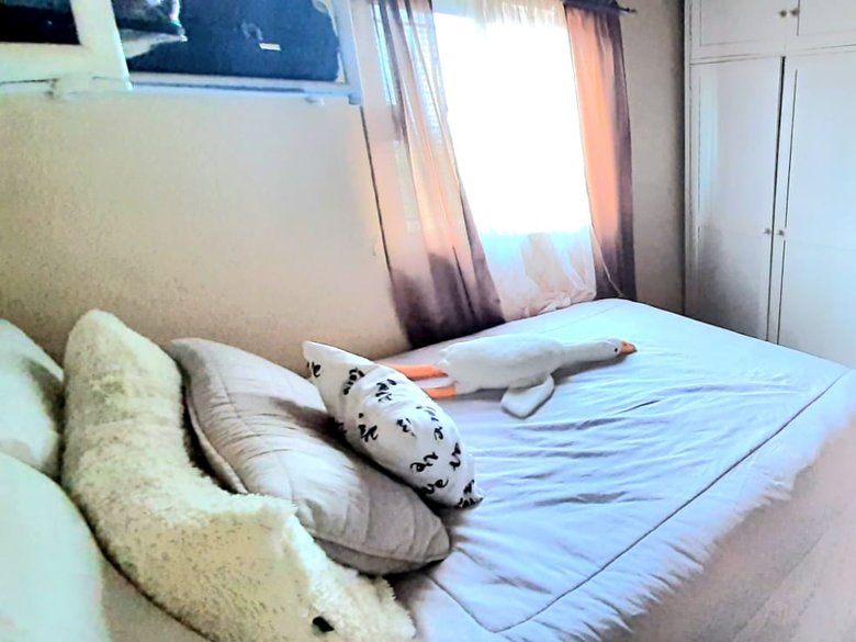 Casa Paloelú — 8 photos