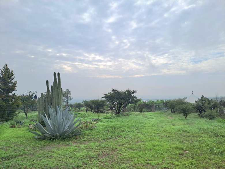 Casa Paloelú — 15 photos