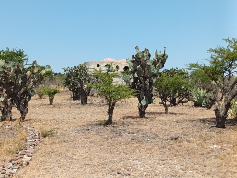 Casa Paloelú — 22 photos