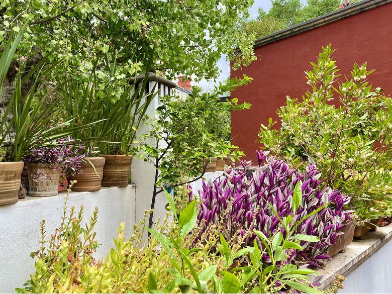 Casa Ladrillera, beautiful and comfortable house located in Centro.   — 39 photos
