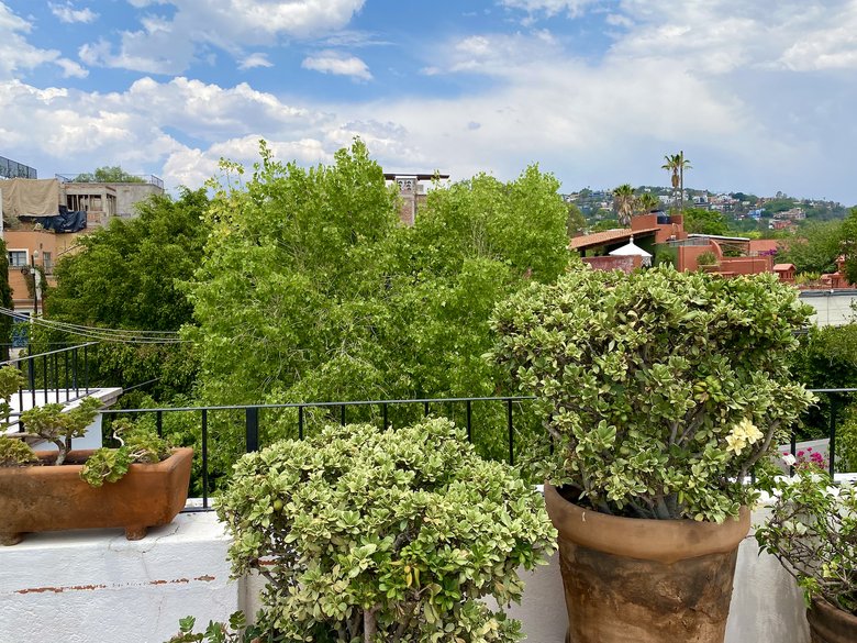 Casa Ladrillera, beautiful and comfortable house located in Centro.   — 46 photos
