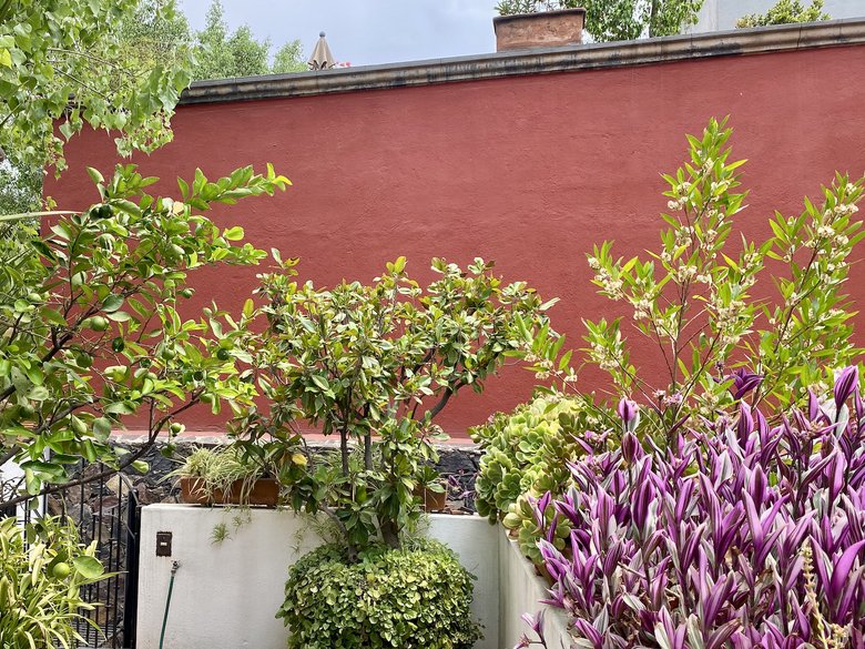 Casa Ladrillera, beautiful and comfortable house located in Centro.   — 37 photos