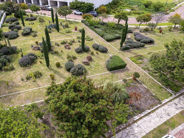 Primavera Lots — 5 photos