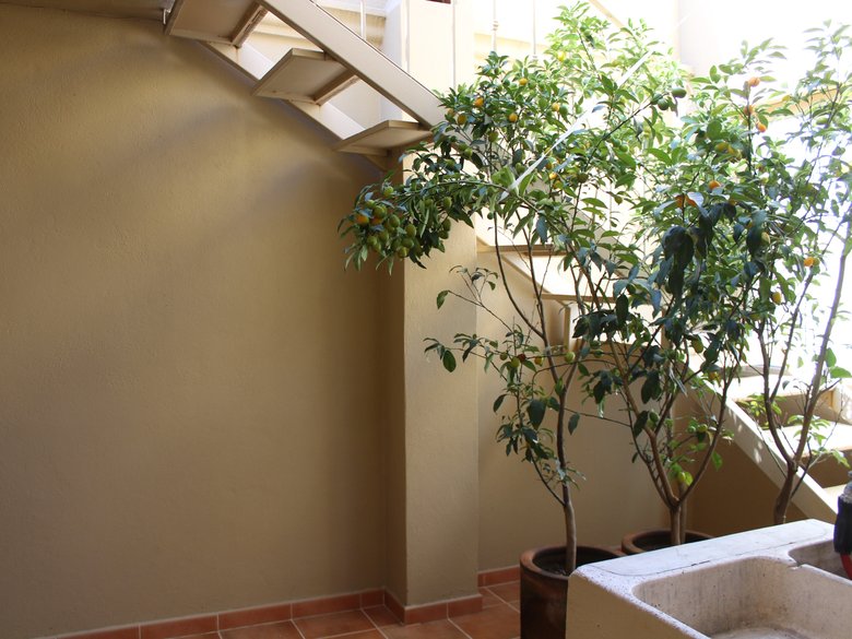 Gorrion Apartament — 23 photos