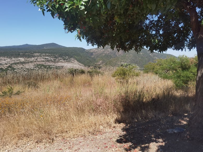 Viñedos San Miguel!!!! A perfect place to live, relax and enjoy your live. — 2 photos