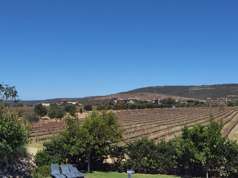 Viñedos San Miguel!!!! A perfect place to live, relax and enjoy your live. — 13 photos