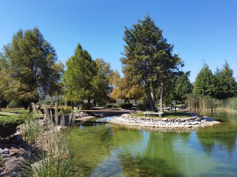 Viñedos San Miguel!!!! A perfect place to live, relax and enjoy your live. — 7 photos