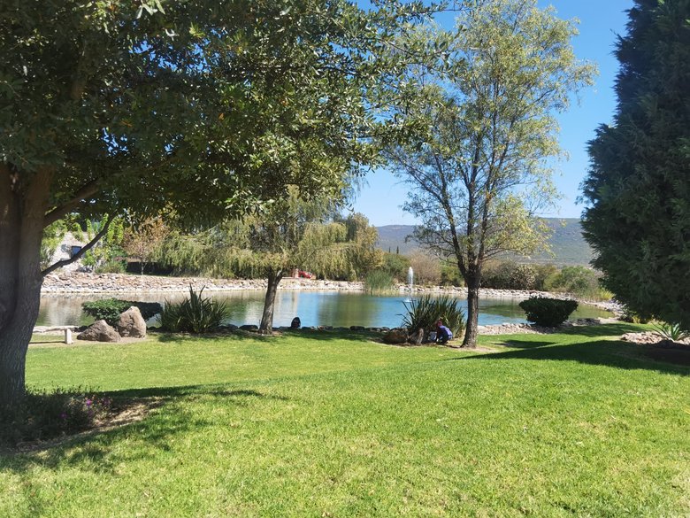 Viñedos San Miguel!!!! A perfect place to live, relax and enjoy your live. — 4 photos