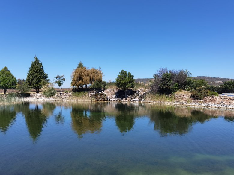 Viñedos San Miguel!!!! A perfect place to live, relax and enjoy your live. — 5 photos