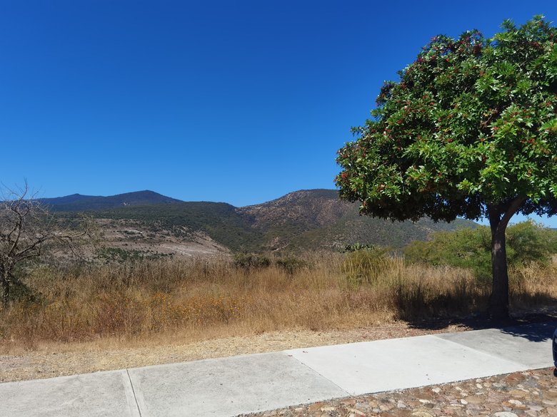 Viñedos San Miguel!!!! A perfect place to live, relax and enjoy your live. — 3 photos