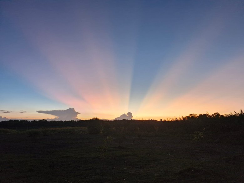 LOT IN CIENEGUITA — 2 photos