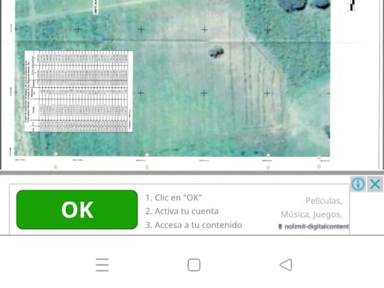 LOT IN CIENEGUITA — 8 photos