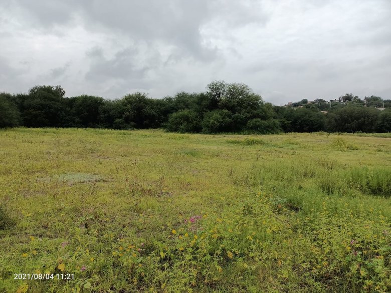 LOT IN CIENEGUITA — 3 photos