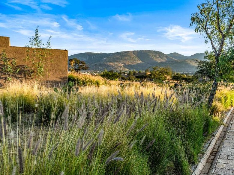 Lot 14 La Providencia — 5 photos