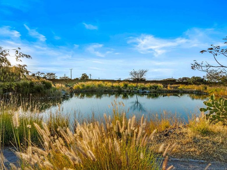 Lot 14 La Providencia — 13 photos