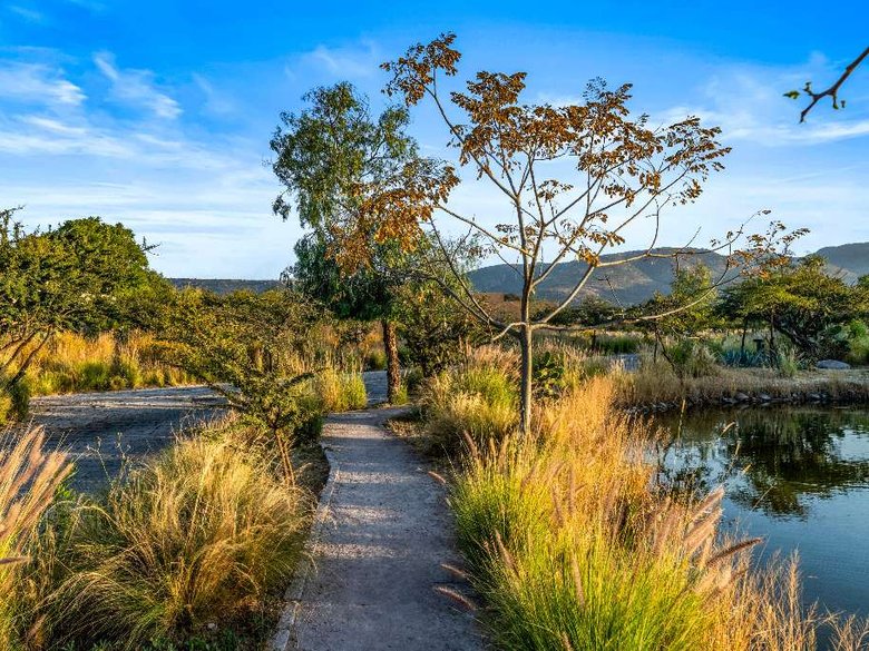 Lot 14 La Providencia — 14 photos