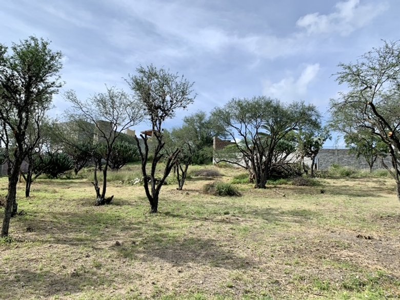 Escape to tranquility! Your dream lot awaits in the outskirts of San Miguel de Allende. — 10 photos