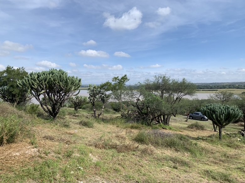 Escape to tranquility! Your dream lot awaits in the outskirts of San Miguel de Allende. — 6 photos