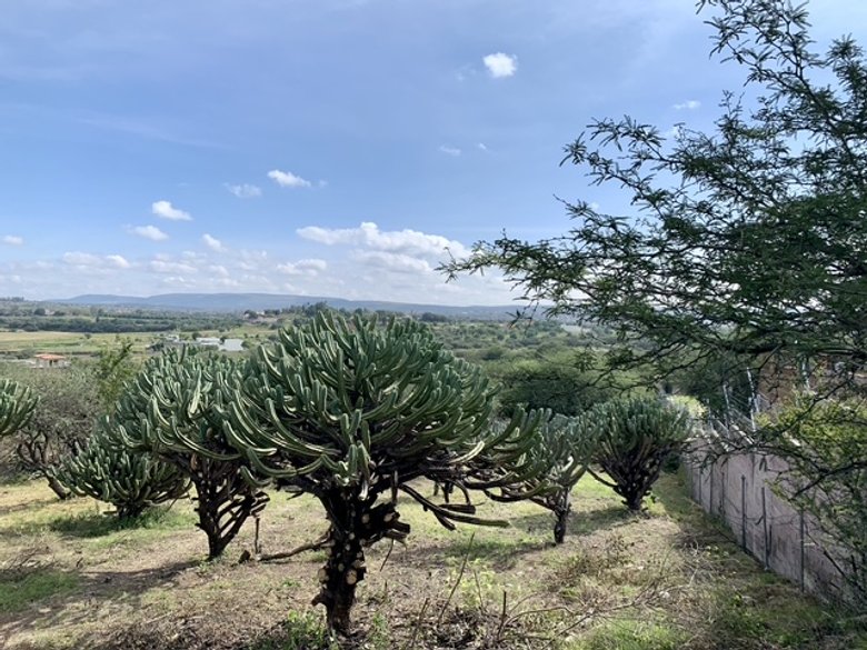 Escape to tranquility! Your dream lot awaits in the outskirts of San Miguel de Allende. — 3 photos