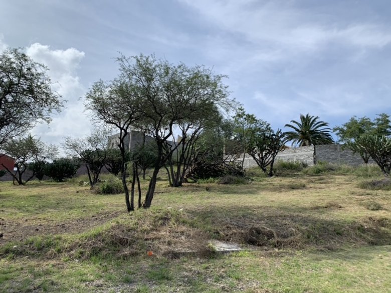 Escape to tranquility! Your dream lot awaits in the outskirts of San Miguel de Allende. — 8 photos