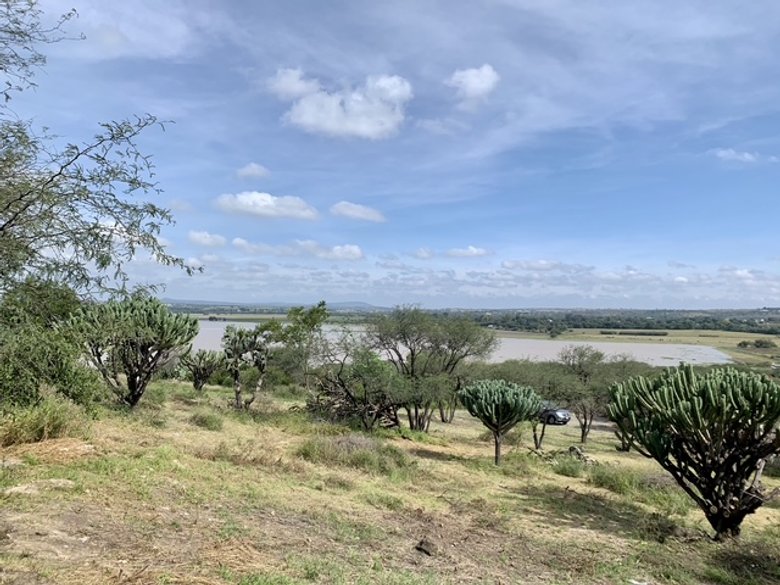 Escape to tranquility! Your dream lot awaits in the outskirts of San Miguel de Allende. — 4 photos