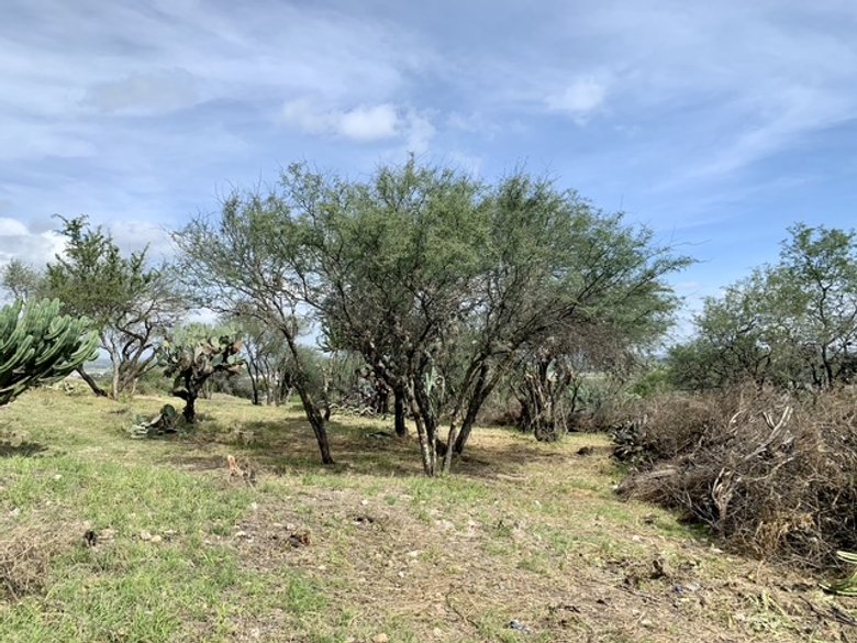 Escape to tranquility! Your dream lot awaits in the outskirts of San Miguel de Allende. — 2 photos