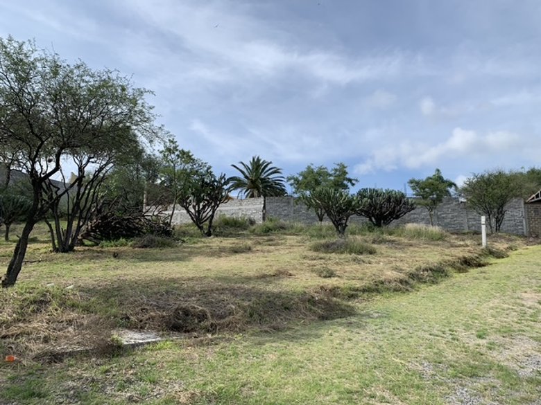 Escape to tranquility! Your dream lot awaits in the outskirts of San Miguel de Allende. — 7 photos