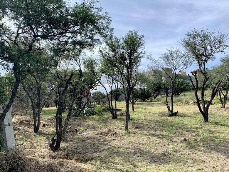 Escape to tranquility! Your dream lot awaits in the outskirts of San Miguel de Allende. — 9 photos