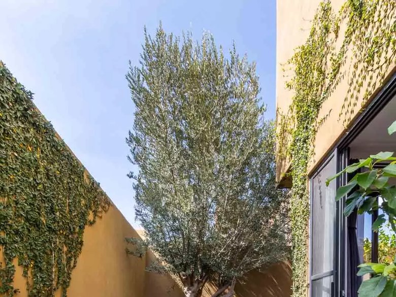 Casa Olivier — 27 photos