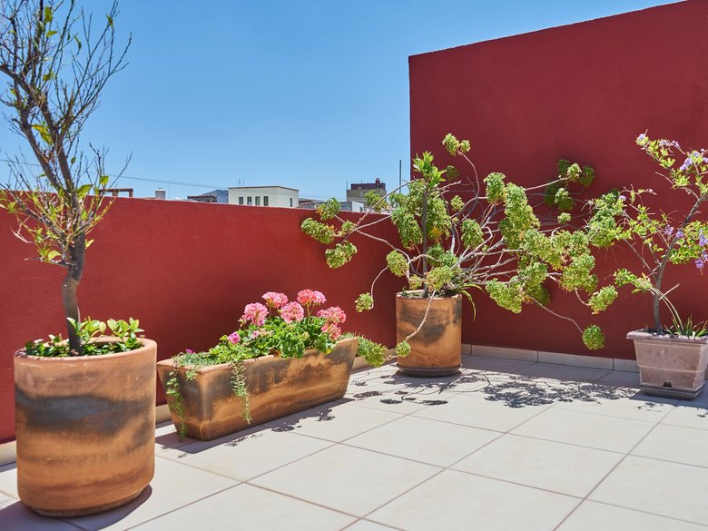 Casa Tenerias — 2 photos