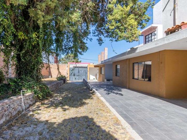 Lote Arbol — 4 photos