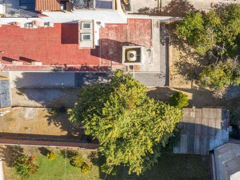 Lote Arbol — 18 photos