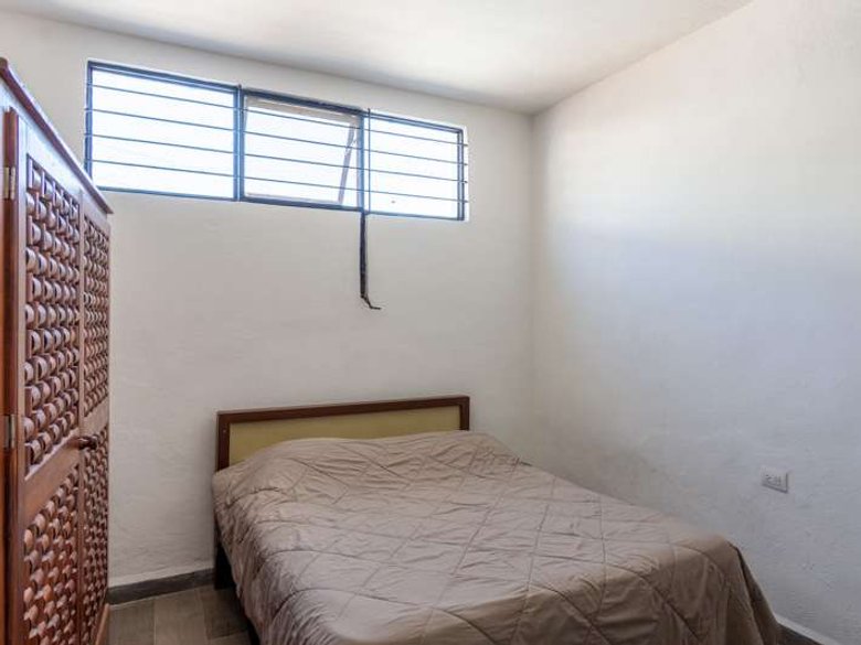 Lote Arbol — 9 photos