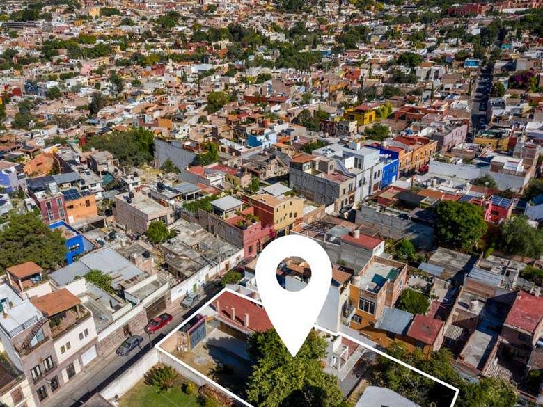 Lote Arbol — 15 photos