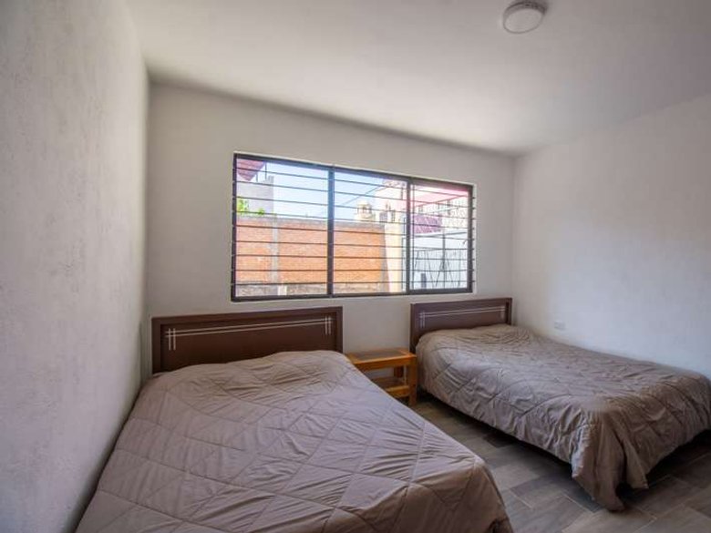 Lote Arbol — 11 photos
