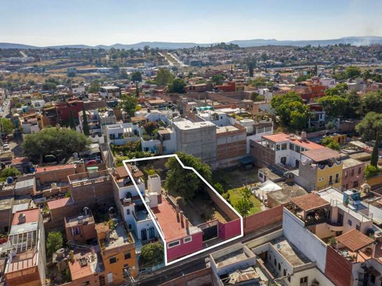 Lote Arbol — 19 photos