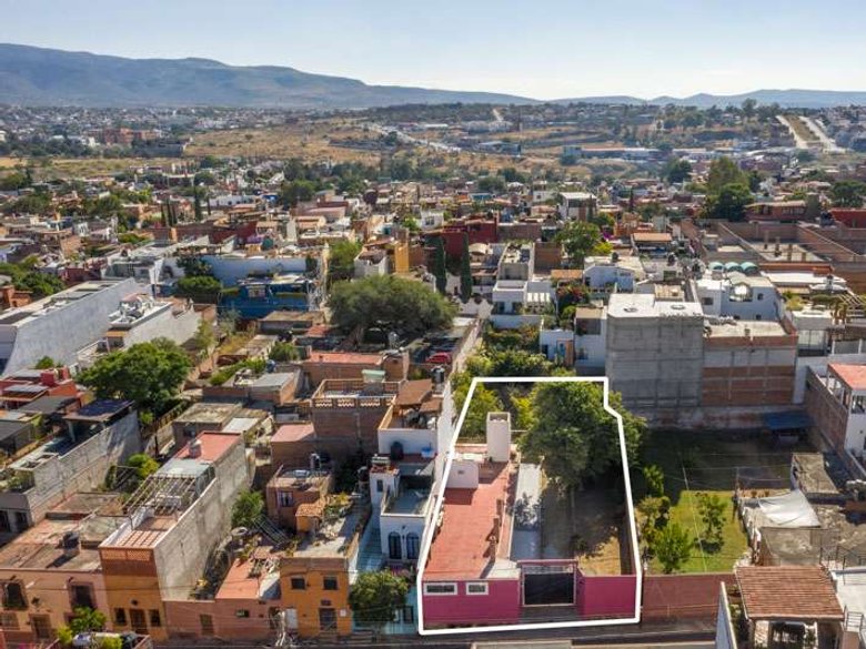 Lote Arbol — 17 photos