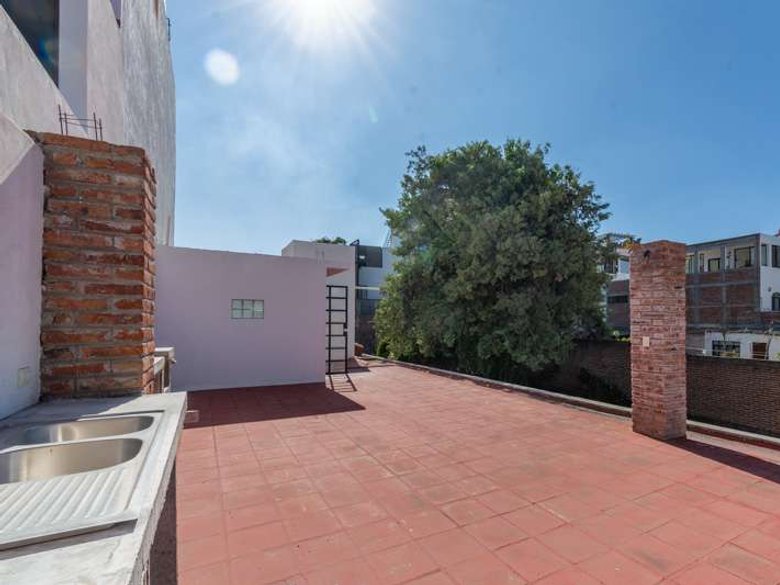 Lote Arbol — 12 photos