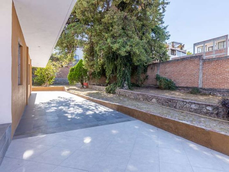Lote Arbol — 3 photos