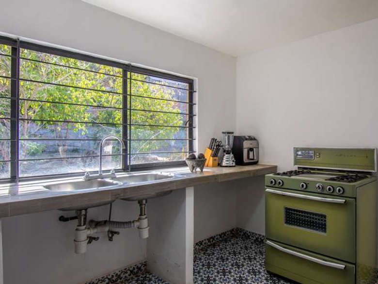Lote Arbol — 8 photos