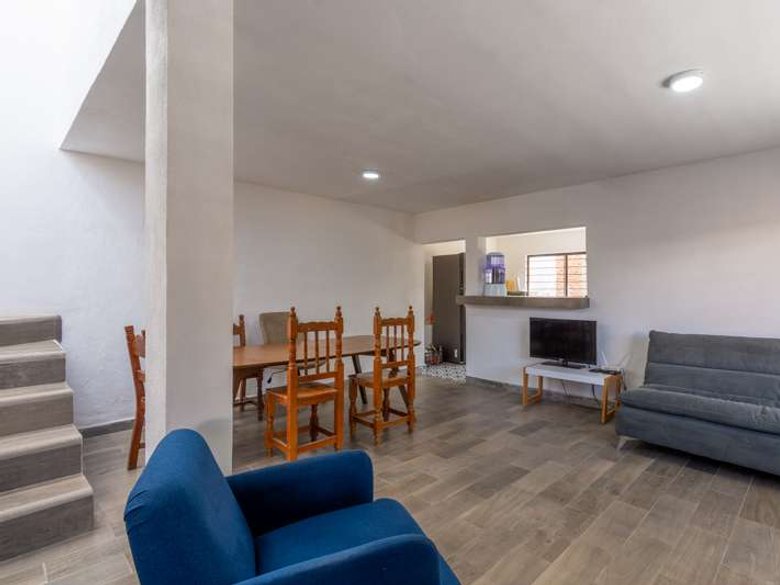 Lote Arbol — 6 photos