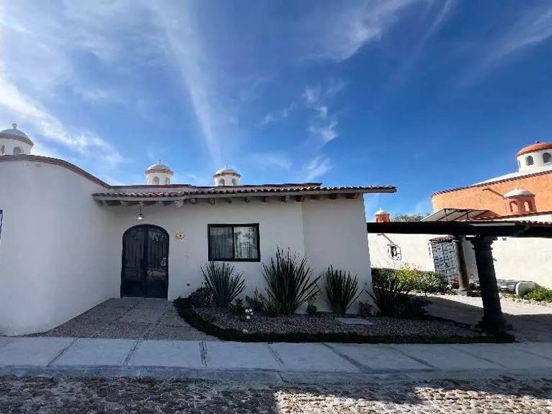 Lote Arbol — 20 photos