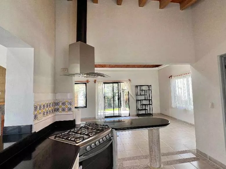 Lote Arbol — 23 photos