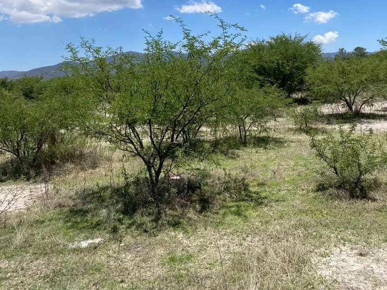 TERRENO POLIGONO LAGUNA ESCONDIDA — 2 photos